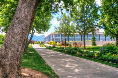 Picture for category UUSOM Fees