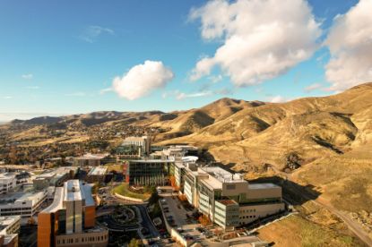 Picture of International Visiting Student Fees