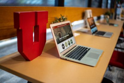 Picture of International Visitor Application Fee