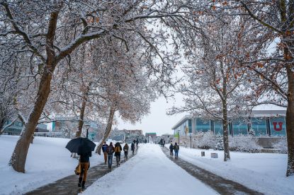 Picture of SOM Booth Fee