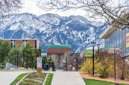 Picture of AOA Donations