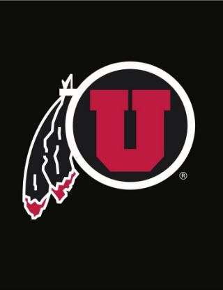 Picture of iPad Charging Chord & Brick - Replacement