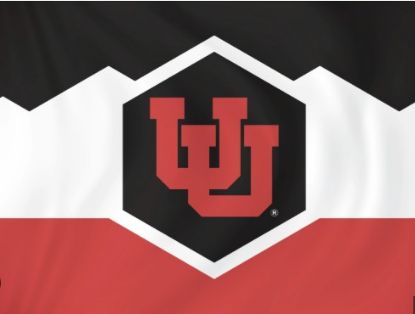 Picture of Butterfly Charger - Replacement